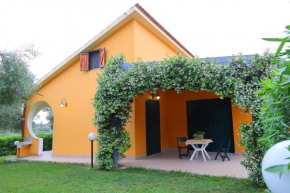 Ciumara East Avola